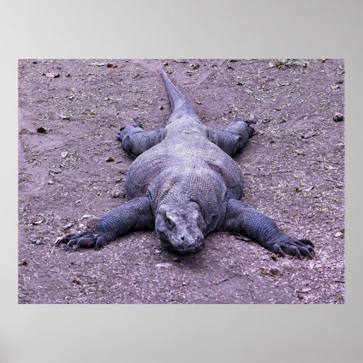 怠惰ドラゴン ポスター (正面)