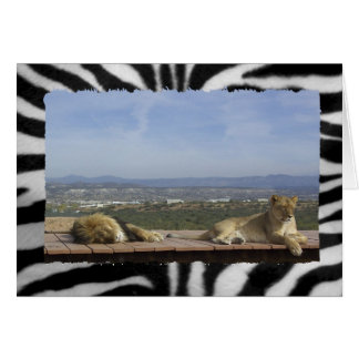 怠惰ライオン製品