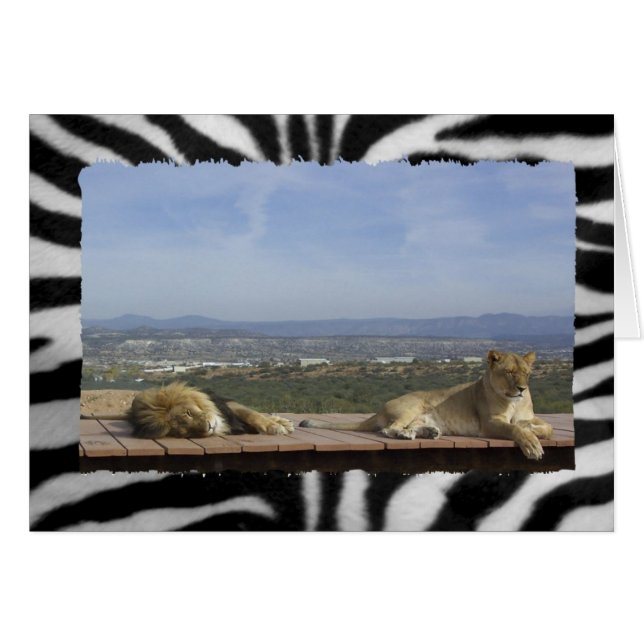 怠惰ライオン製品 (正面横)