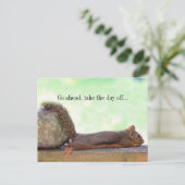 怠惰リス ポストカード (スタンド正面)