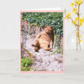 怠慢な子猫挨拶 カード (黄色い花)