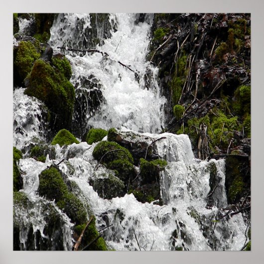 急いでいる水…... ポスター (正面)