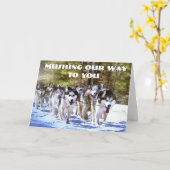 急いで行く誕生日 カード (黄色い花)