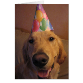 急がせ、食べて下さい