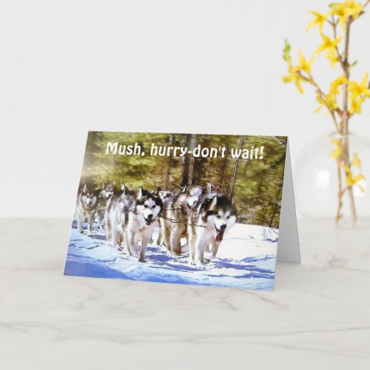 急ぐな50誕生日 カード (黄色い花)