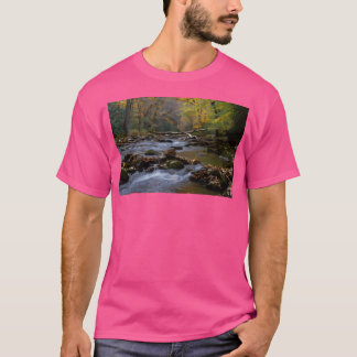 急ぐ山川 Tシャツ