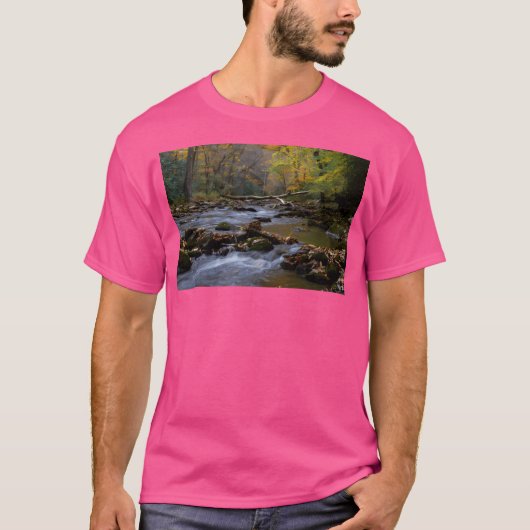 急ぐ山川 Tシャツ (正面)