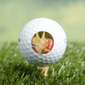 急ぐ風 ゴルフボール (インサイチュ 木)