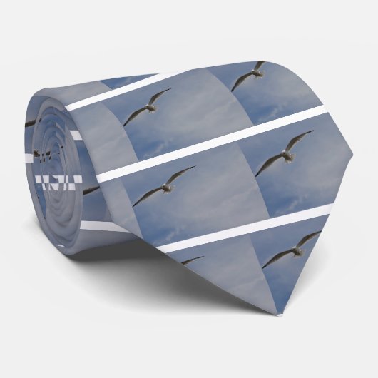 急上昇したグライダー ネクタイ (ロール)