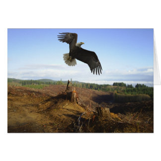 急上昇した最高