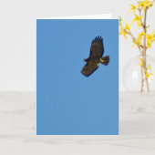 急上昇した赤によって後につかれるタカ カード (黄色い花)