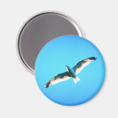 急上昇するガルー磁石 マグネット (正面/裏面)