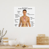 急性溶血性輸血反応の症状 ポスター (キッチン)