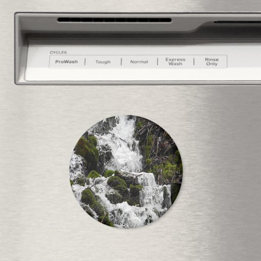 急流…... マグネット (インサイチュ (食洗機))