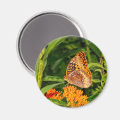 急素晴らし斜の蝶 マグネット (正面/裏面)