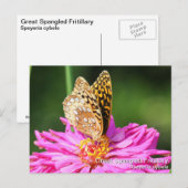 急素晴らし流の蒸留所 ポストカード (正面/裏面)