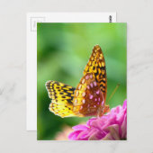 急素晴らし流の蒸留所 ポストカード (正面/裏面)