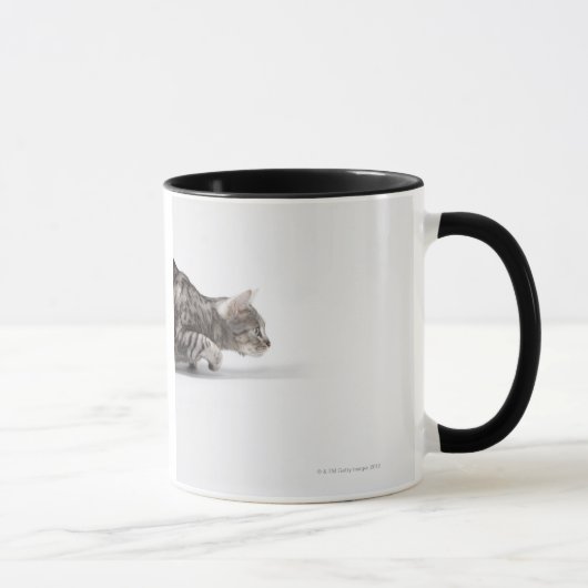 急襲すること準備ができた猫 マグカップ (右)