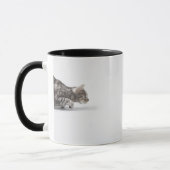 急襲すること準備ができた猫 マグカップ (左)