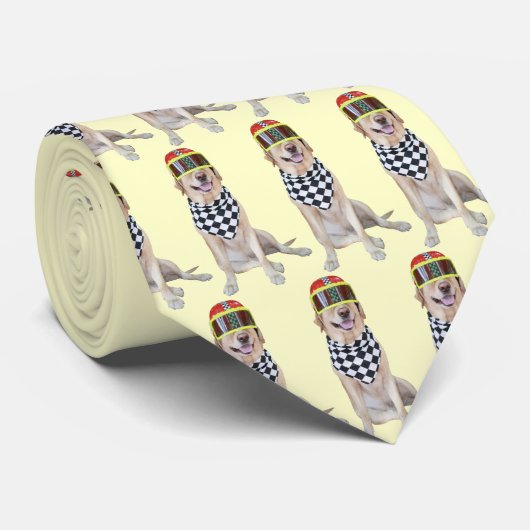 急速な日のタイ ネクタイ (ロール)