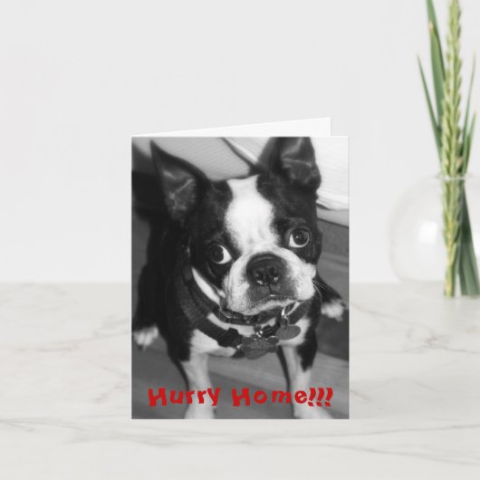 急速の家 カード (正面)