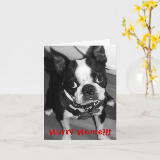 急速の家 カード (黄色い花)