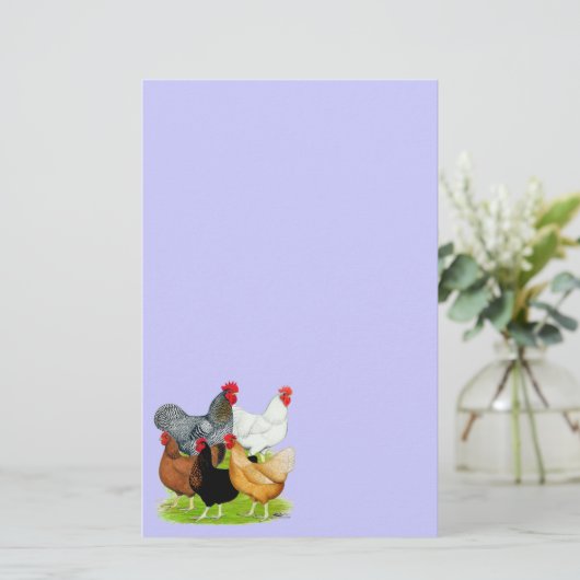 性つながれた鶏のクインテット 便箋 (スタンド正面)