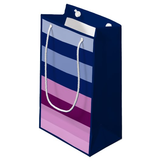 性は"男の子または女の子"のピンクおよび青いギフトバッグを明らかにします スモールペーパーバッグ (正面アングル)