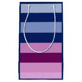 性は"男の子または女の子"のピンクおよび青いギフトバッグを明らかにします スモールペーパーバッグ (正面)