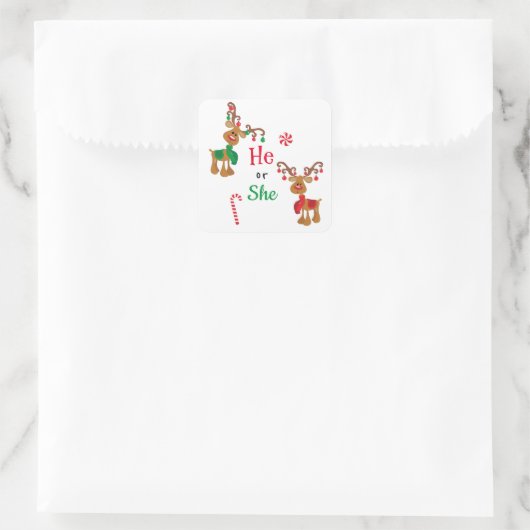 性別がトナカイのクリスマスの休日を明らかにする スクエアシール (バッグ)