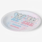 性別がピンクと青の象を明らかにする ペーパープレート (アングル)