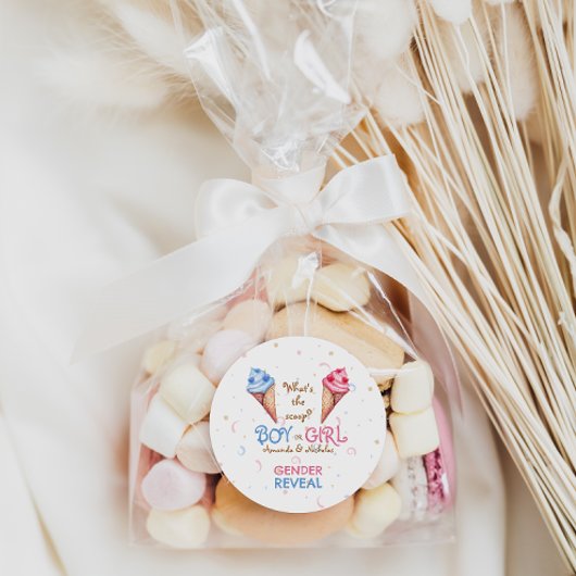 性別によるアイスクリームスクープの表示 ラウンドシール