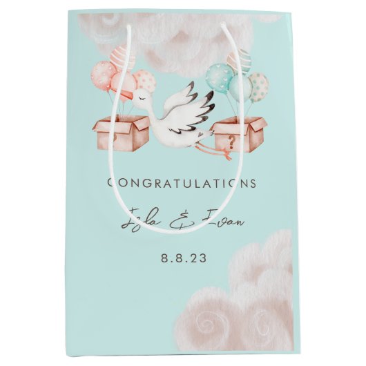 性別によるパーティー抱き枕 ミディアムペーパーバッグ (正面)