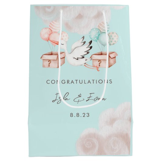 性別によるパーティー抱き枕 ミディアムペーパーバッグ (裏面)