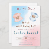 性別によるパーティー、男の子または女の子、ピンクと青の表示 シーズンカード (正面/裏面)
