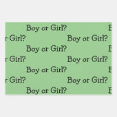 性別の明らか男女兼用さ ラッピングペーパーシート (正面3)