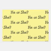 性別の明らか男女兼用さ ラッピングペーパーシート (正面2)