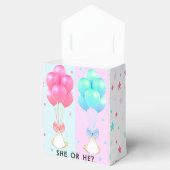 性別の表示パーティー フェイバーボックス (オープン)