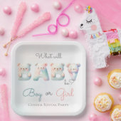 性別を明らかにカラフルする男の子 ペーパープレート (パーティー)