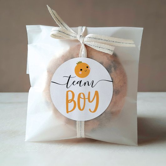 性別リビール投票ステッカー小さなかわいこちゃんオレンジ ラウンドシール