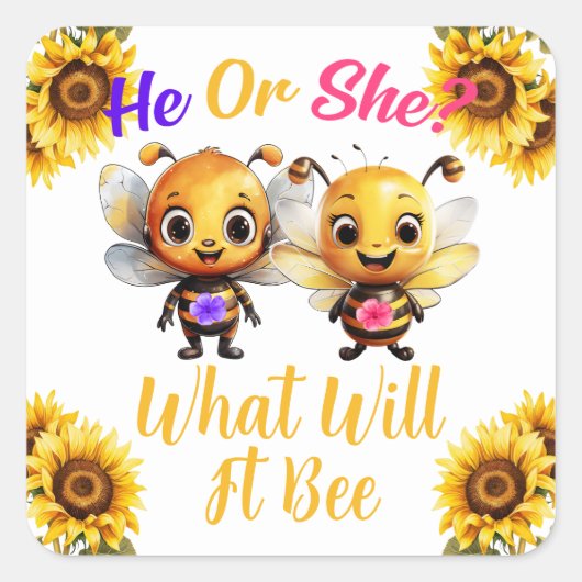 性別彼または彼女はそれがどうなるかを明らかにする スクエアシール (正面)