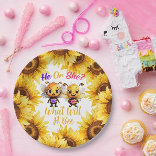 性別彼または彼女はそれがどうなるかを明らかにする ペーパープレート (パーティー)