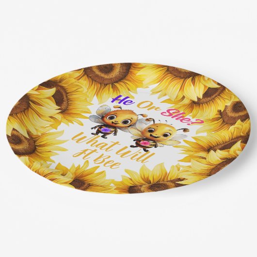 性別彼または彼女はそれがどうなるかを明らかにする ペーパープレート (アングル)