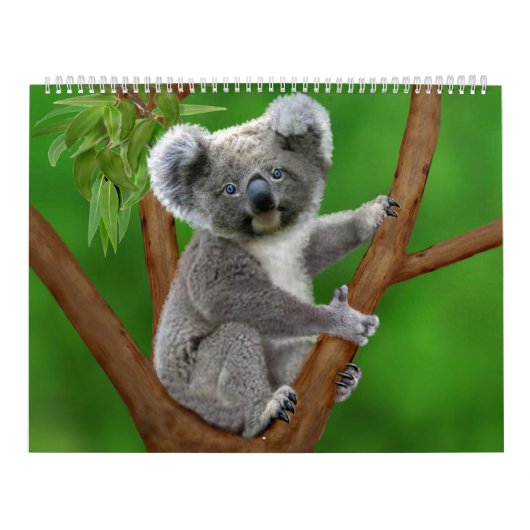 性質で最もかわいい月例カレンダー カレンダー (カバー)