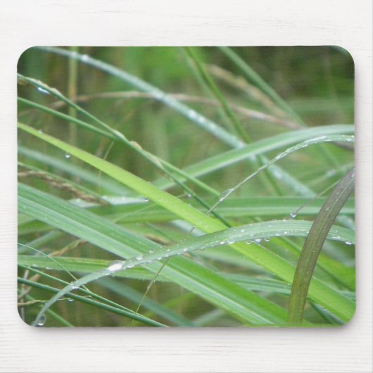 性質のエピソード マウスパッド (正面)