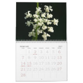 性質のカレンダー2010年 カレンダー (2月 2027)