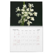 性質のカレンダー2010年 カレンダー (2月 2026)