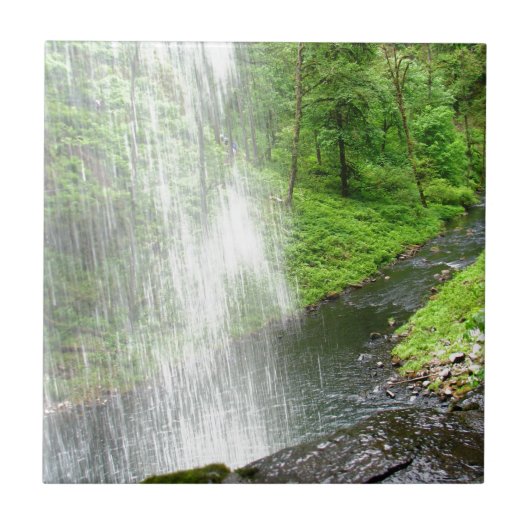 性質のシャワー タイル (正面)