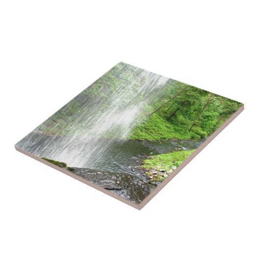 性質のシャワー タイル (側面)