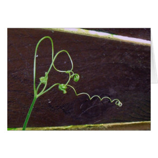 性質のハートのひも